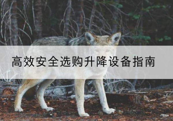 茂南升降货梯厂家推荐-*安全选购升降设备指南