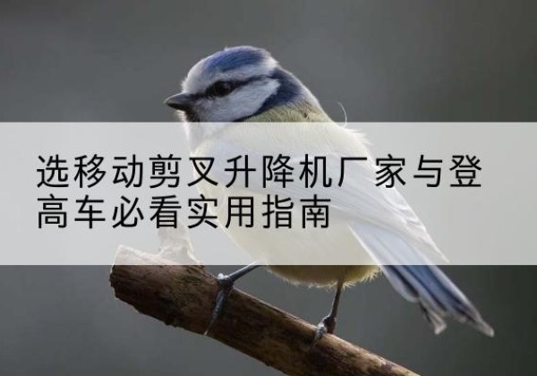 茂南电动升降机厂家-选移动剪叉升降机厂家与登高车必看实用指南