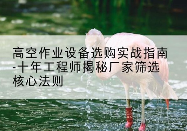 茂南剪叉式升降机厂家-高空作业设备选购实战指南-十年工程师揭秘厂家筛选核心法则